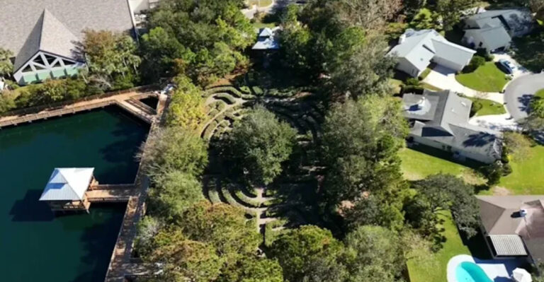 This Beautiful Florida Park Is Hiding a Secret Turtle Maze Few Visitors Ever Notice
