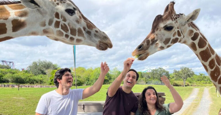 This Beloved Tampa Theme Park Offers Screaming Coasters and Remarkably Close Animal Encounters