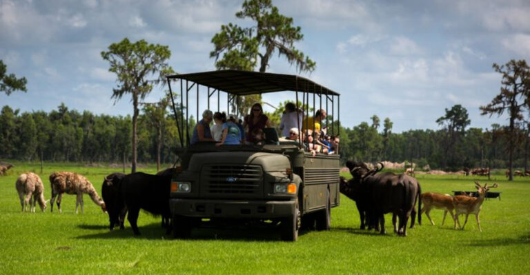 This Drive-Through Safari Is Only 50 Minutes Away from Tampa
