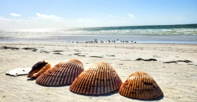 This Florida Beach Is a Hidden Gem for Sea Glass Hunters