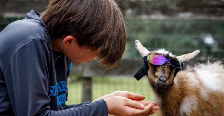 This Florida Farm Lets You Bottle Feed Baby Goats Just 40 Minutes From Orlando