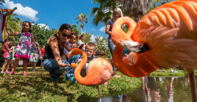 This Florida Hidden Garden Lets You Get Face-To-Beak With Pink Flamingos