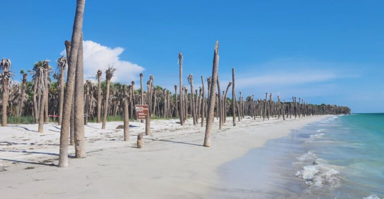This Florida Island Has No Cars, No Crowds, and Feels Completely Untouched