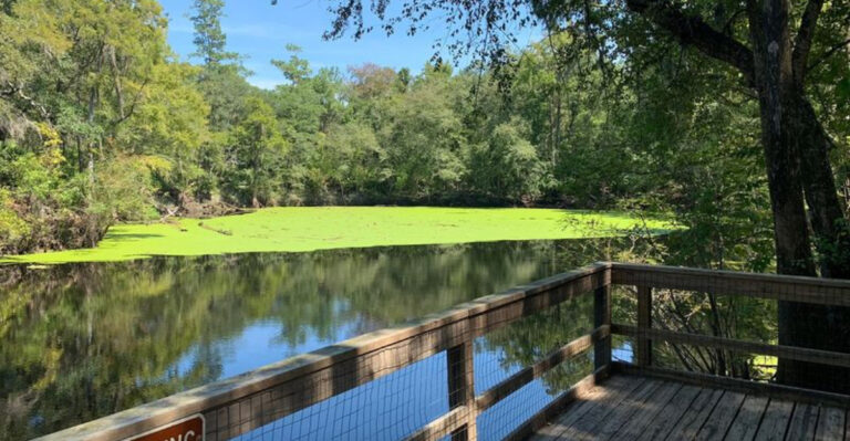 This Hidden Florida State Park Is So Peaceful, You’ll Feel Like You Found It First