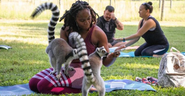 This Little-Known Florida Sanctuary Offers an Unforgettable Lemur Encounter