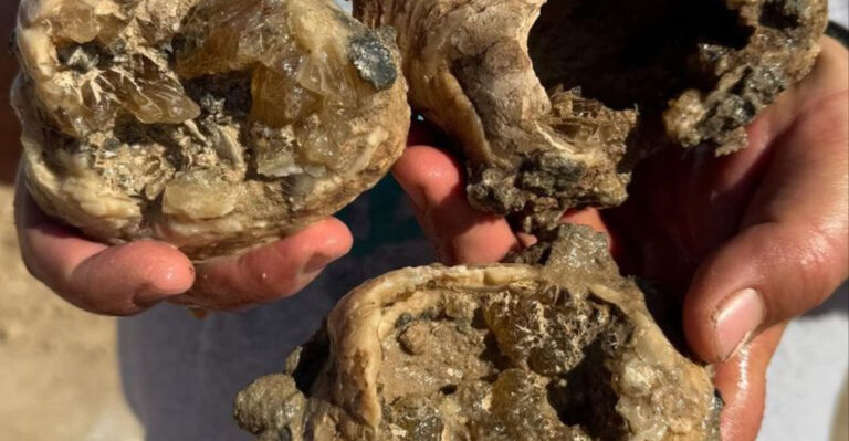 This Mine in Florida Lets You Dig for Ancient Crystals Hidden Beneath a Prehistoric Seabed