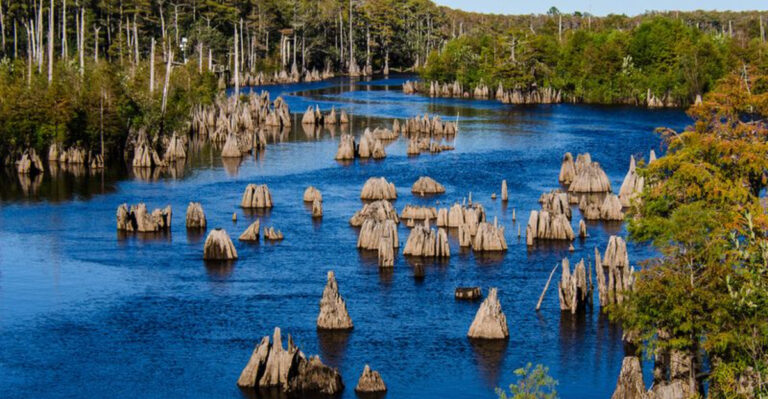 This Mystical Florida Lake Feels Like Stepping Into Another Dimension