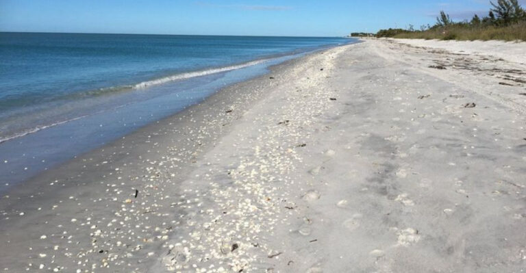 This Remote Florida State Park Has Quiet Beaches Covered In Seashells