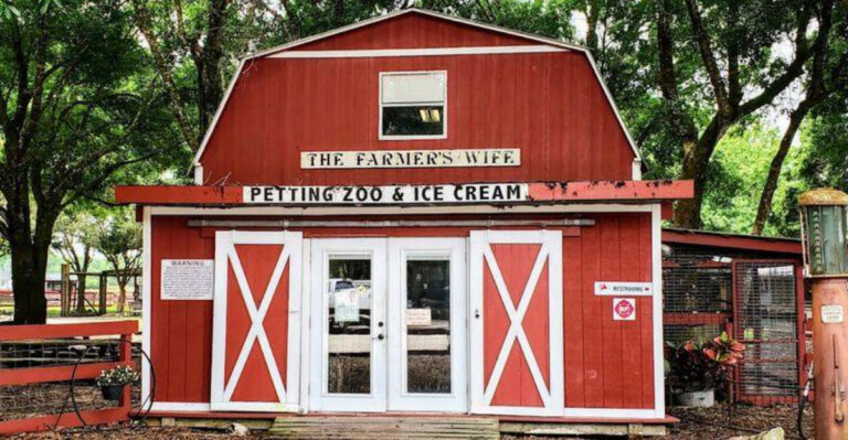 You Can Meet Kangaroos At This Adorable Farm Just 50 Minutes From St. Pete