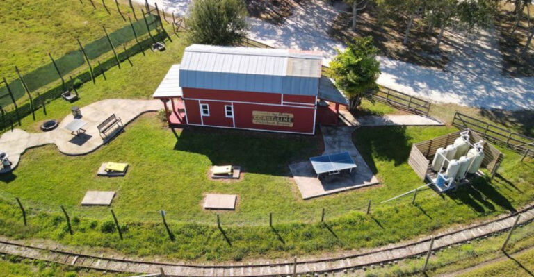 You Can Pick Your Own Strawberries And Meet Capybaras Just One Hour From Tampa