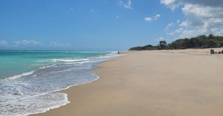 You’ll Find an Underwater Paradise for Snorkelers at This Florida State Park