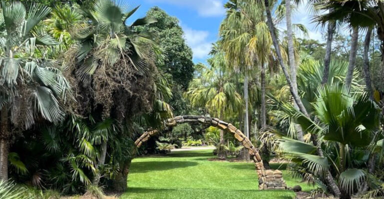 You’ll Never Believe Florida Has a Tropical Rainforest Like This