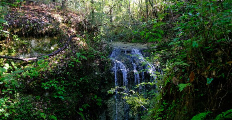 10 Florida Waterfalls You Need to See Before Summer Ends