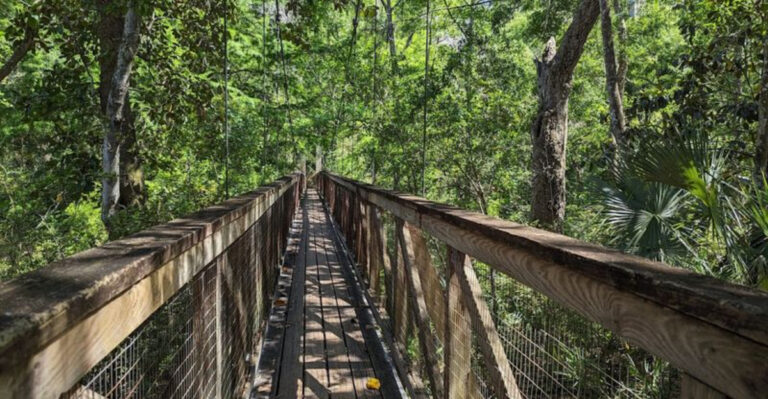 12 Beautiful Florida Trails to Hike This April for Ravines, Waterfalls, Springs, and Scenic Overlooks