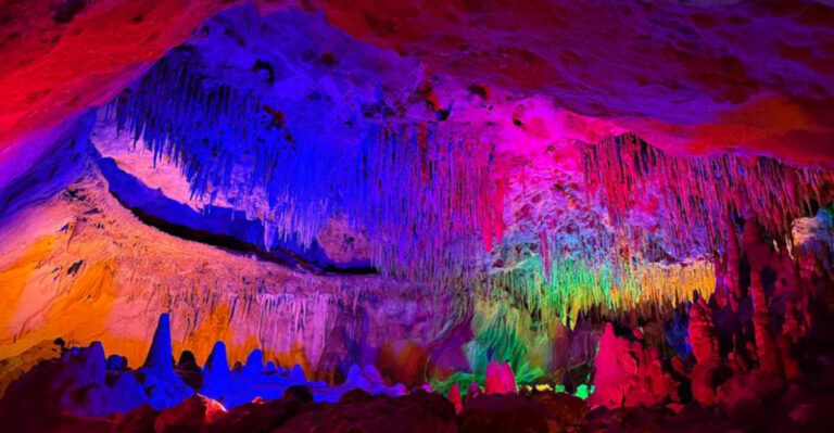 12 Family-Friendly Places In Florida That Aren’t The Usual Tourist Stops