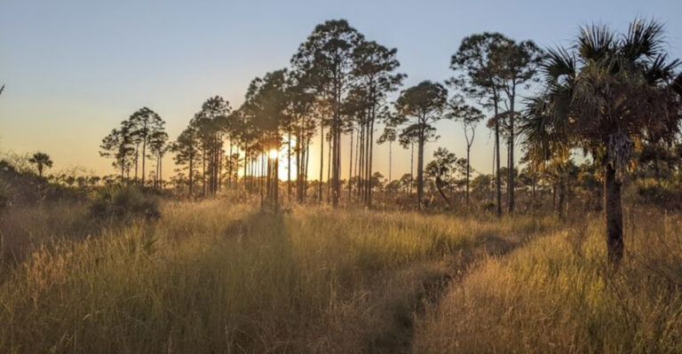 12 Free Florida Wildlife Refuges Perfect for Your Next Day Trip