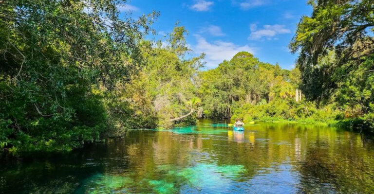 12 Reasons to See Why Spring Hill Is One of Florida’s Most Underrated Gulf Coast Towns
