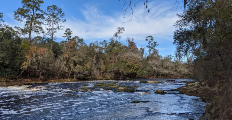 14 Captivating Florida State Parks Almost No One Knows About