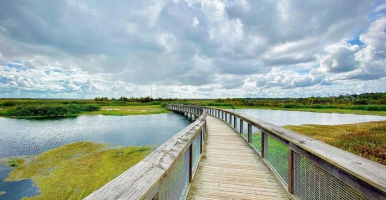 7 Gorgeous Florida Hikes Under 5 Miles Everyone Should Take