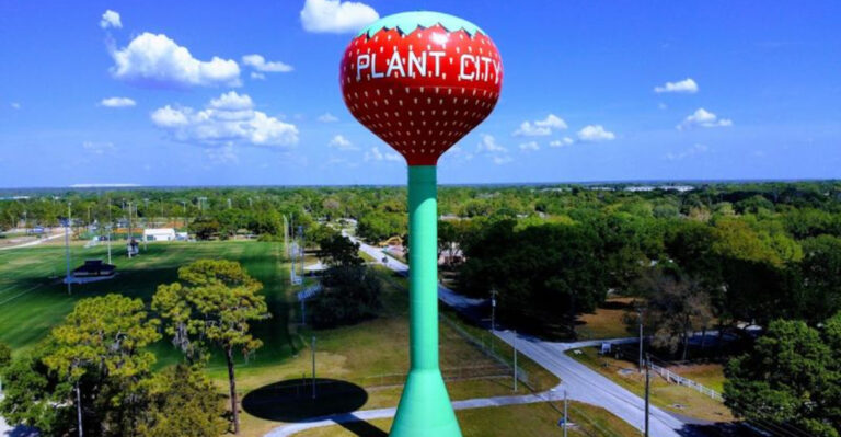 A Giant Strawberry Water Tower Is Hiding in Florida, and It’s Worth a Look