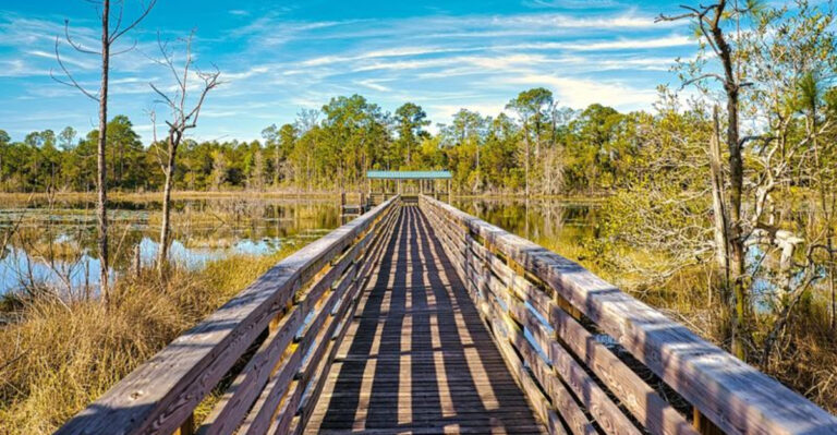 April Is the Perfect Time for These Short but Stunning Florida Hikes