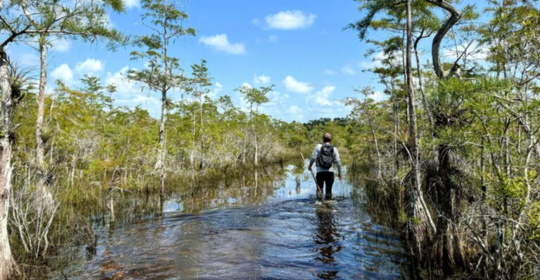 Florida’s Toughest Hike Will Leave You Sweaty, Sore, and Speechless