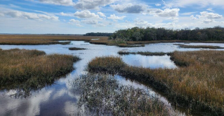 Follow This Jacksonville Trail to a Hidden, Peaceful Pond at the End