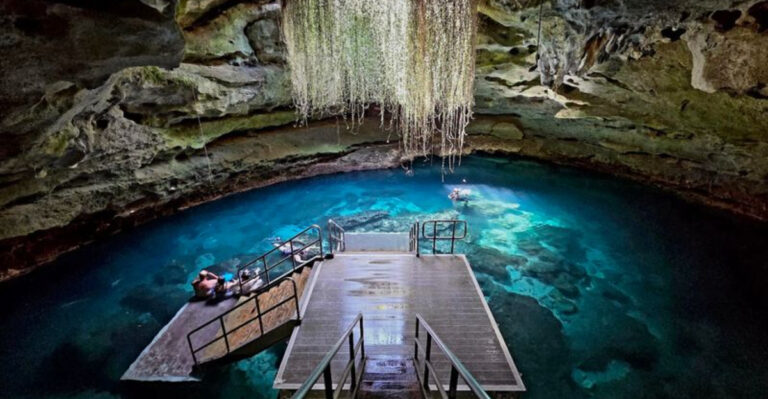 Just 2 Hours from Jacksonville, a Prehistoric Florida Spring Feels Like a Hidden World