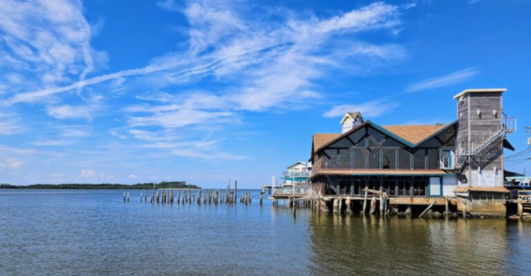 Just 60 Miles from Gainesville, This Gulf Island Is the Florida You Thought Was Gone