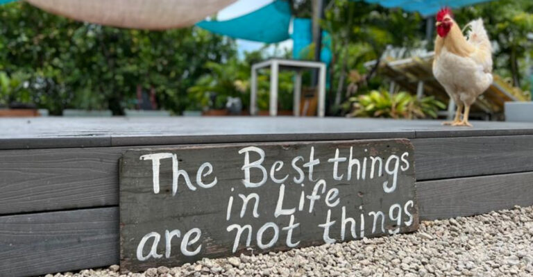 After 2 Years, Miami Finally Got Its Beloved Vegan Sanctuary Back