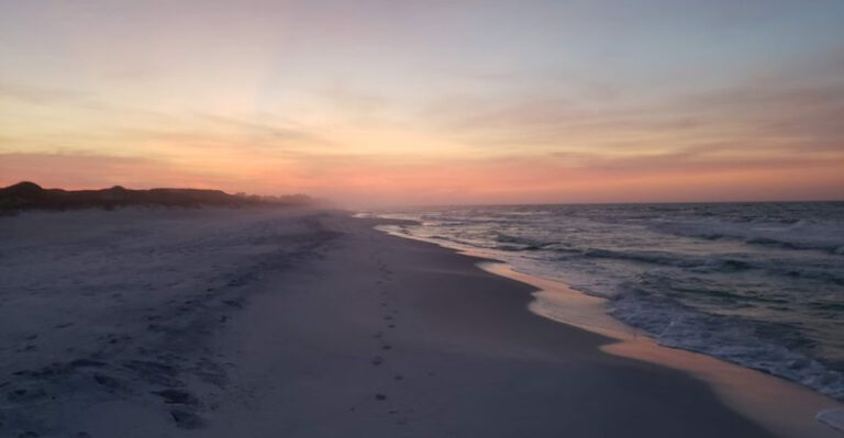 Most People Pass This Florida Preserve Without Knowing What They’re Missing