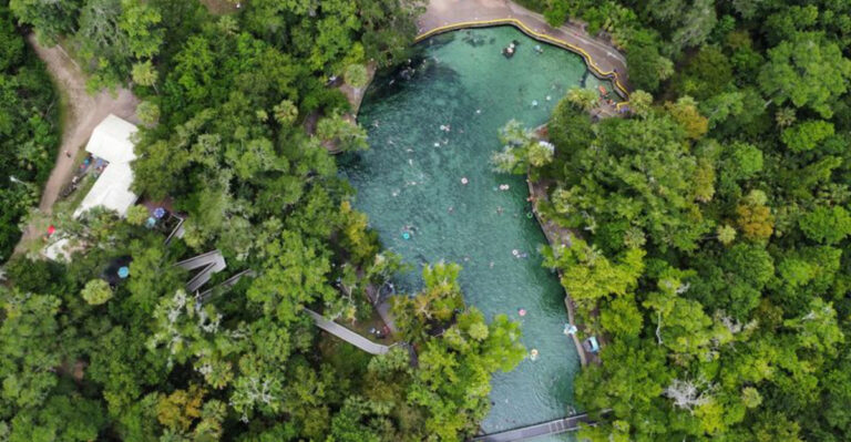 Near Apopka, This Crystal-Clear Spring Offers One of Florida’s Most Refreshing Escapes