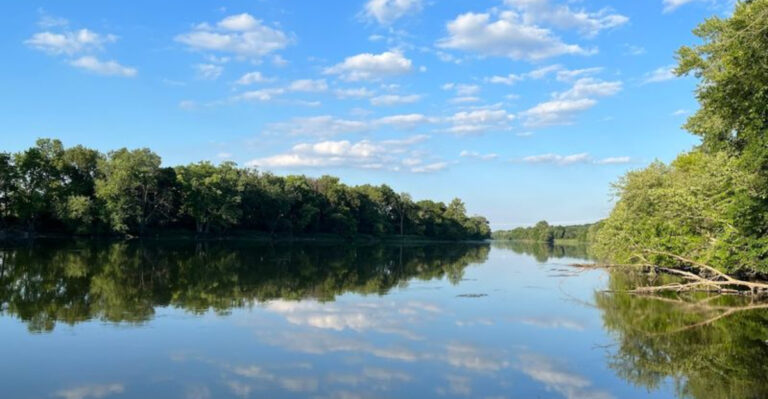 Need a Reset? These 13 Cozy Florida Cabin Spots Are Perfect for a Weekend Getaway