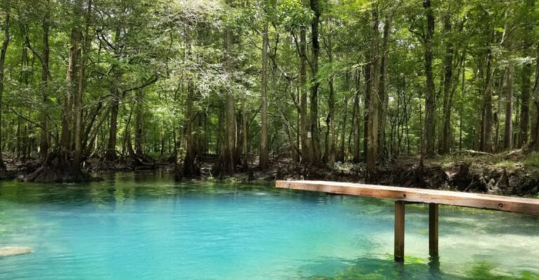 One of Florida’s Most Incredible Attractions Is Still a Well-Kept Secret
