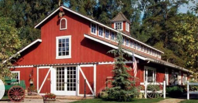 Pick Your Own Strawberries at These 12 Florida Farms