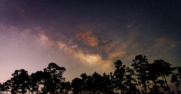 The 8 Most Remarkable Stargazing Spots in Florida