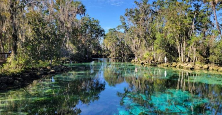 These 12 Florida Rivers Feel More Tropical Than You’d Expect