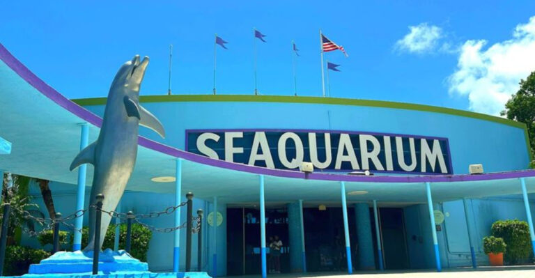 These 13 Florida Adventures Turn Family Trips Into Something Memorable