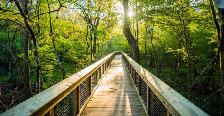 These 17 Florida Spring Destinations Are Worth Every Mile