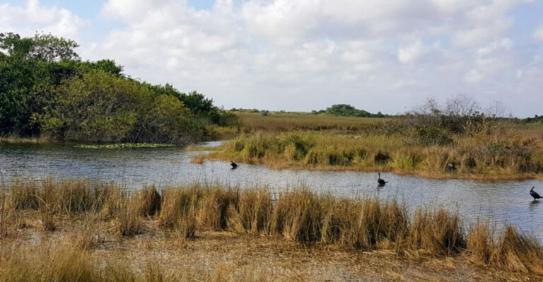 This 15-Mile Florida Bike Trail Is All About Front-Row Everglades Views