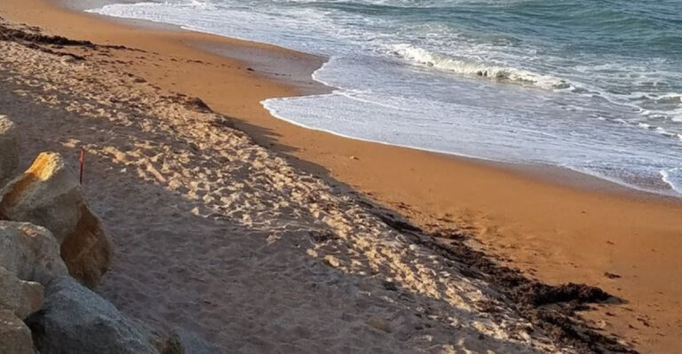 This Atlantic Coast Florida Beach Is Perfect for Finding Fossils and Shark Teeth
