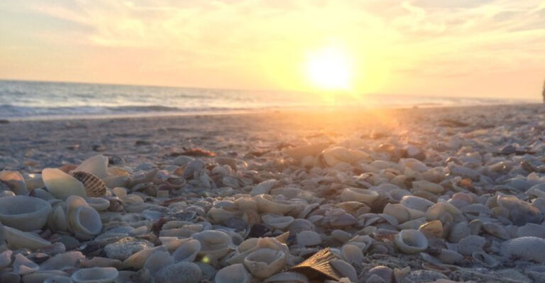 This Beach Town Is Famous for Its Sunrise Shelling Tradition