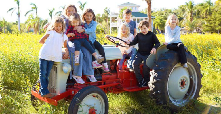 This Charming Farm Near St. Pete Has U-Pick Flowers, A Tree House, And A Hay Castle