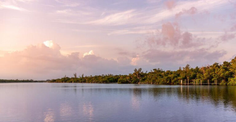 This Florida Barrier Island Has Dolphins, Sea Turtles, and Not a Single Paved Road