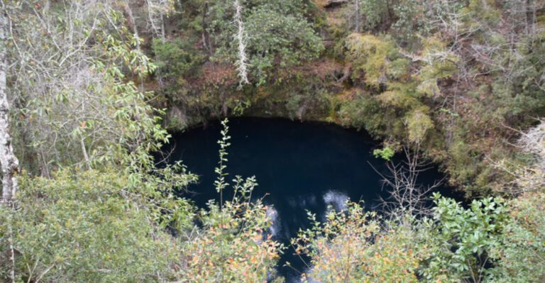 This Florida Trail Packs Sinkholes, Secret Caves, and Stunning Scenery into a Short Hike