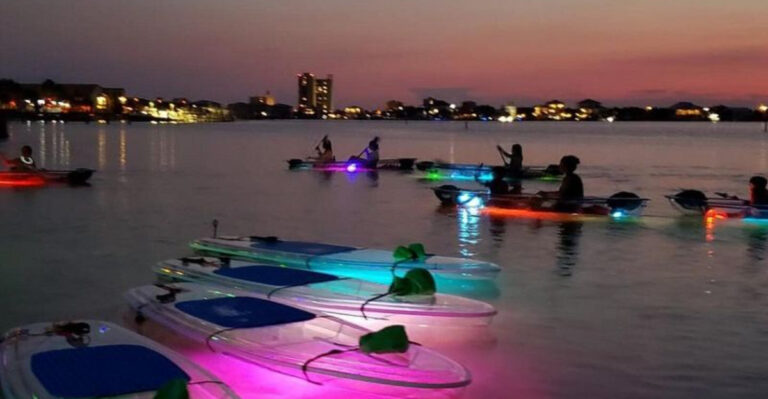 This Glowing Florida Paddle Adventure Is One Of The Most Magical Ways To Explore After Dark