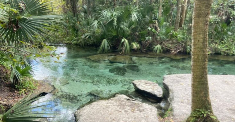 This Lazy River Tubing Adventure in Florida Is Pure Relaxation