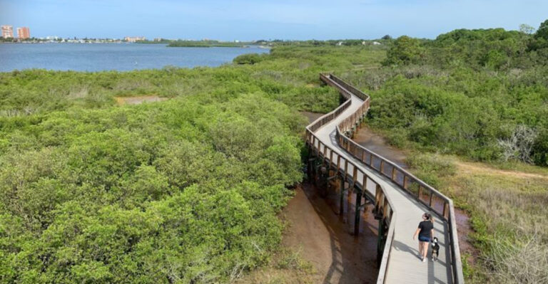 This Peaceful Florida Boardwalk Leads to a Secret View Inside Boca Ciega Millennium Park