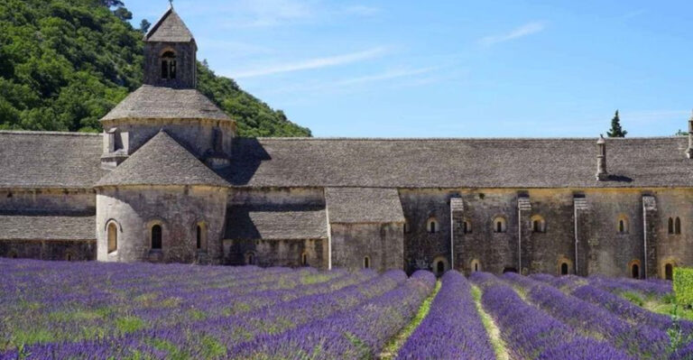 This Peaceful Florida Lavender Farm Is Basically a Deep Breath With Flowers