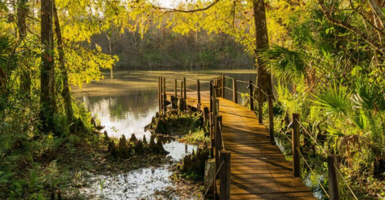 This Remote Preserve in South Florida Feels Like a Journey Into the Unknown
